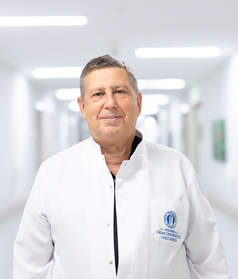 Prof. Dr. Abut Kebudi